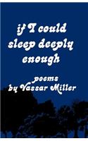 If I Could Sleep Deeply Enough: Poems