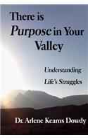 There is Purpose in Your Valley