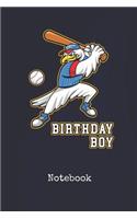 Notebook: Baseball Birthday Boy Freedom Blank Writing Journal Patriotic Stars & Stripes Red White & Blue Cover with Wide Ruled Lined Paper Daily Diaries for J