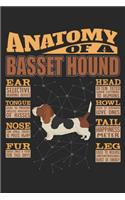 Anatomy Of A Basset Hound