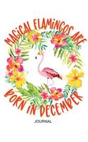 Magical Flamingos are Born in December Journal