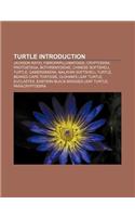 Turtle Introduction: Jackson Ratio, Fibropapillomatosis, Cryptodira, Protostega, Bothremydidae, Chinese Softshell Turtle, Gamerabaena