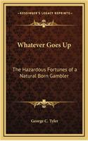 Whatever Goes Up