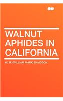 Walnut Aphides in California