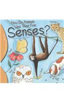 How Do Animals Use Their Five Senses?
