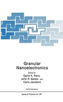 Granular Nanoelectronics