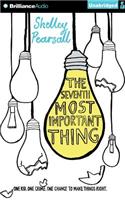 Seventh Most Important Thing