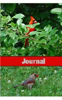 Journal