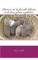 Histoire de la famille Chester et de deux petits orphelins