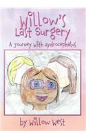 Willow's Last Surgery: A Journey With Hydrocephalus