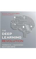 The Deep Learning Revolution