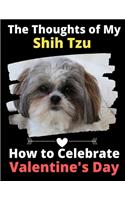 The Thoughts of My Shih Tzu