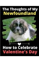 Thoughts of My Newfoundland: How to Celebrate Valentine's Day