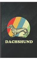 Dachshund