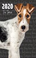 2020 Fox Terrier