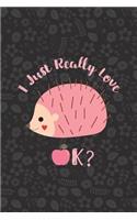 I Just Really Love Hedgehogs, Ok?