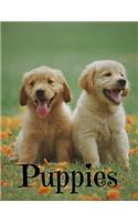 Puppies Notebook