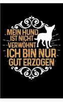 Nicht Verwöhnt (Chihuahua)