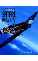 Supermarine Spitfire Mks 1 to V