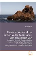 Characterization of the Cotton Valley Sandstones, East Texas Basin USA