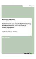 Berufswissen und berufliche Orientierung von Schülerinnen und Schülern im Übergangssystem