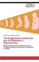 Teratogénesis producida por la Diabetes e Hipertermia