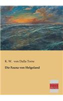 Fauna Von Helgoland