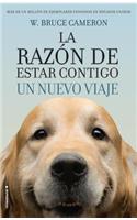 La Razon de Estar Contigo. Un Nuevo Viaje