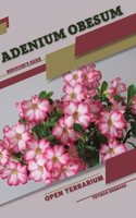 Adenium obesum