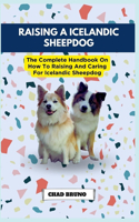 Raising a Icelandic Sheepdog