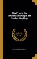 Das Princip der Individualisirung in der Strafrechtspflege