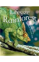 Lifesize: Rainforest