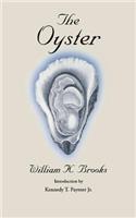 The Oyster