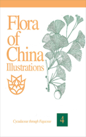 Flora of China Illustrations, Volume 4 - Cycadaceae through Fagaceae