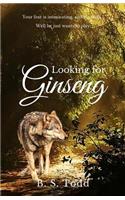 Looking for Ginseng