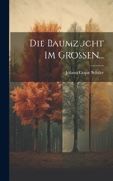 Baumzucht im Grossen...