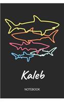 Kaleb - Notebook