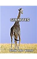 Giraffes