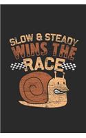 Slow And Steady Wins The Race