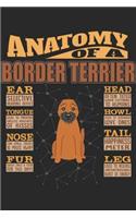 Anatomy Of A Border Terrier