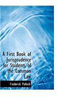A First Book of Jurisprudence for Students of the Common Law: (English)