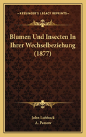 Blumen Und Insecten In Ihrer Wechselbeziehung (1877): (German)