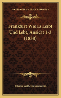 Frankfurt Wie Es Leibt Und Lebt, Ansicht 1-3 (1838)