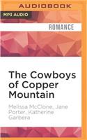 Cowboys of Copper Mountain: A Christmas Collection