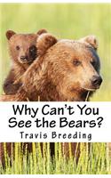 Why Can't You See the Bears?
