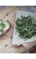 Bread and Butter: Delicious Food Design Notebook/Journal with 150 Lined Pages (8.5 x 11)