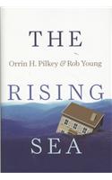 The Rising Sea