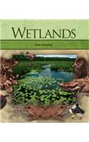 Wetlands
