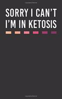 Sorry I Can't I'm In Ketosis: College Ruled Line Paper Journal or Notebook (6x9 Inches) with 120 Pages