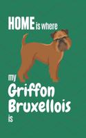 Home is where my Griffon Bruxellois is: For Griffon Bruxellois Dog Fans